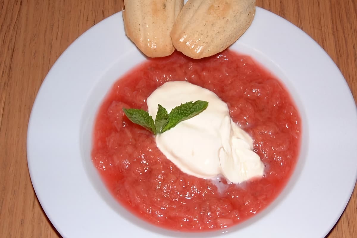 Rhubarb Soup with Rhubarb Sorbet