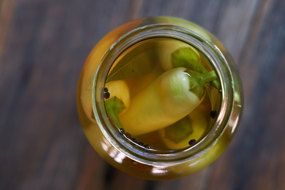 Pickled Chillies, ready to be sealed in a jar.